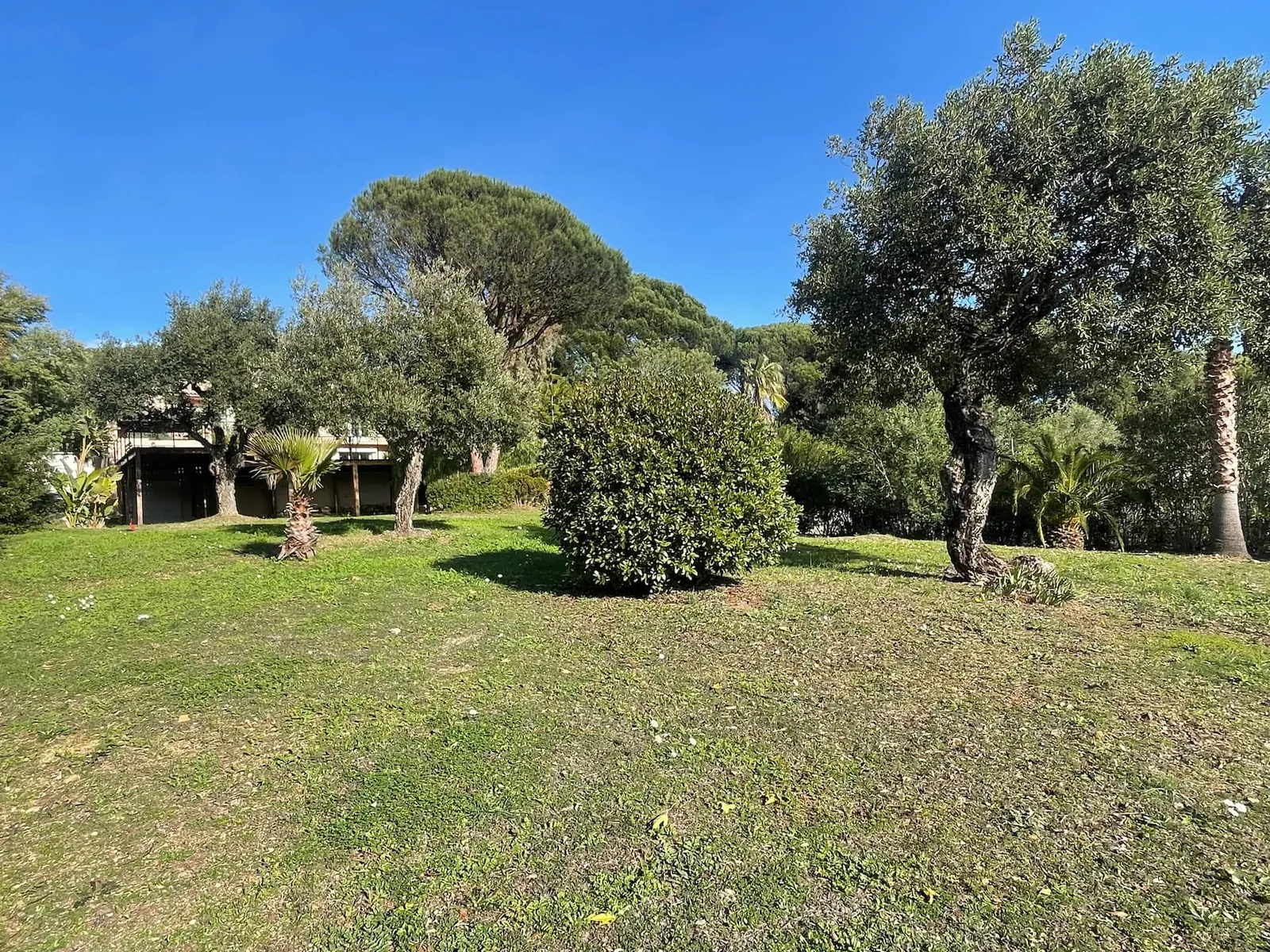 Le grand jardin arboré
