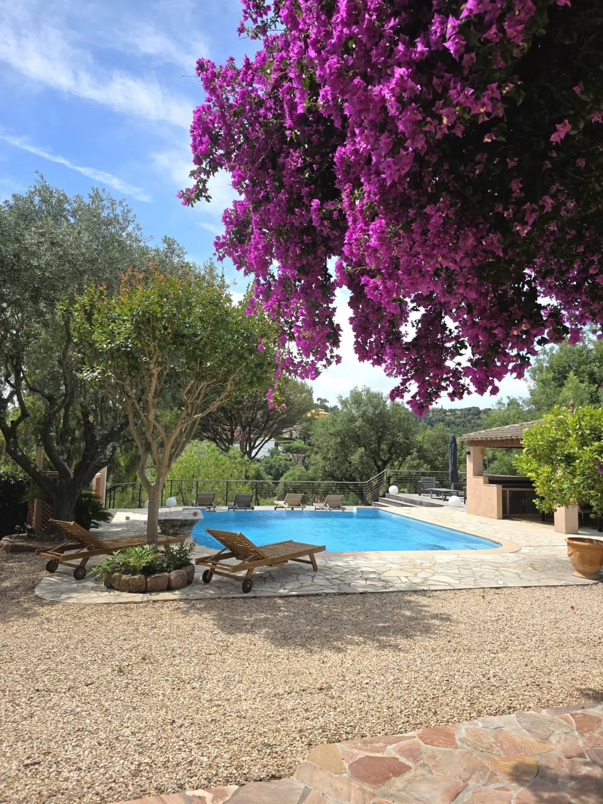La piscine sous les bougainvilliers